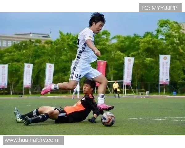 热血沸腾的绿茵传奇足球明星们的拼搏与荣耀之路