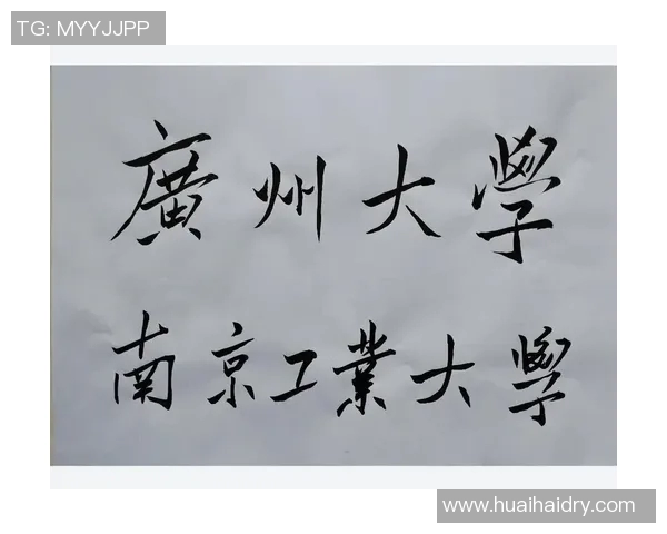 南京排球队逆袭之路揭秘精英赛背后的奋斗与荣耀