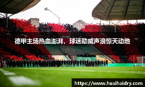 德甲主场热血澎湃，球迷助威声浪惊天动地