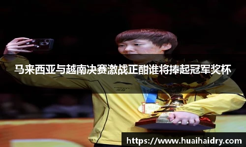 马来西亚与越南决赛激战正酣谁将捧起冠军奖杯