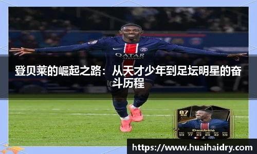 w66国际